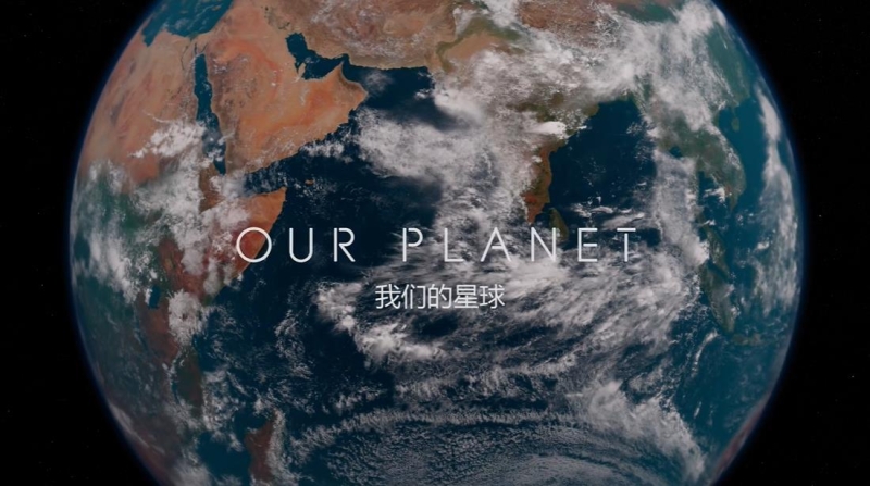 ̬¼Ƭǵ / Our Planet (2019)ȫ8棨Ļ - 4K/1080PӢ