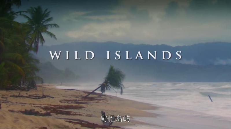 Ȼ¼ƬҰԵ / Wildest Islandsȫ4 - 1080P