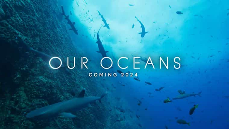 ǵĺ Our Oceans[2024][Ȼ̬¼Ƭ][ȫ5][ӢĻ][1080P][BT]