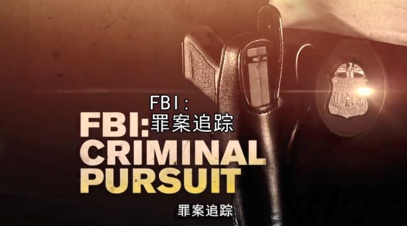 ¼ƬFBIﰸ׷ / FBI: Criminal Pursuitȫ13
